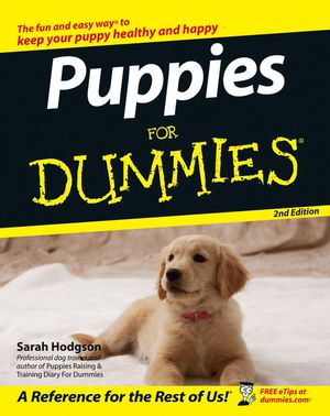 puppies-for-dummies