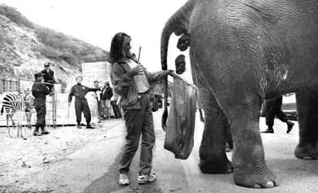 elephant-poop-paper-printed