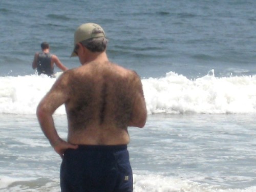 hairy-back hairy-back
