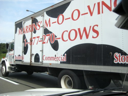 marrins-moooving marrins-moooving