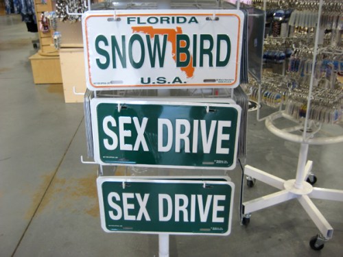 snow-bird-sex-drive