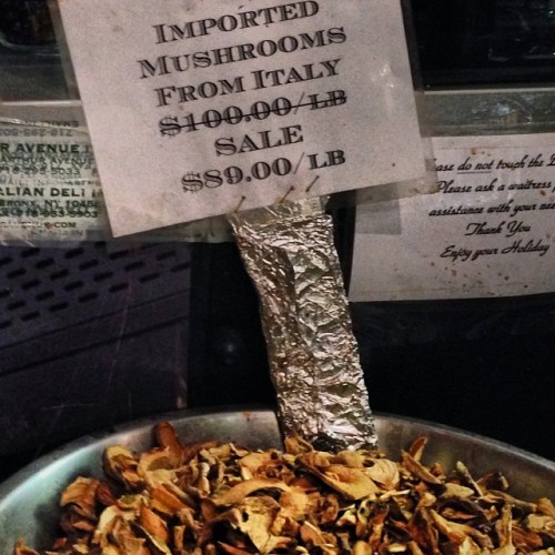 1526592_10202890692772598_2091951079_n